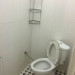 IMG_7529 IMG_7529
