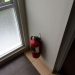 IMG_3030 IMG_3030