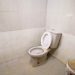 toilet toilet