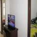 pluit-5