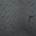 IMG-20161207-WA0010