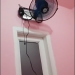 D443FD87-3E51-440B-9FEF-2C77B2E8EC62