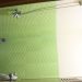 IMG_0434 IMG_0434